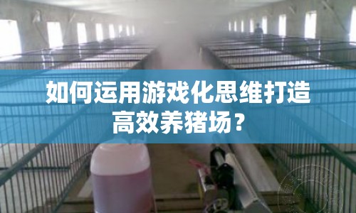 如何運(yùn)用游戲化思維打造高效養(yǎng)豬場(chǎng)？