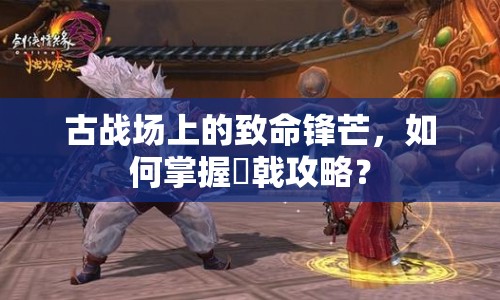 古戰(zhàn)場(chǎng)上的致命鋒芒，如何掌握剣戟攻略？