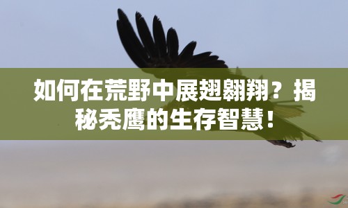 如何在荒野中展翅翱翔？揭秘禿鷹的生存智慧！