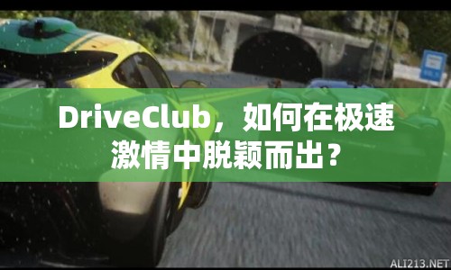 DriveClub，如何在極速激情中脫穎而出？