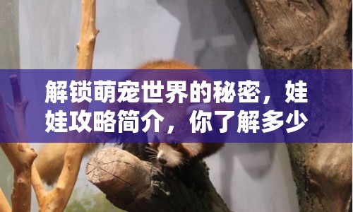 解鎖萌寵世界的秘密，娃娃攻略簡介，你了解多少？