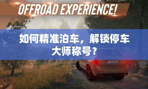 如何精準(zhǔn)泊車，解鎖停車大師稱號？