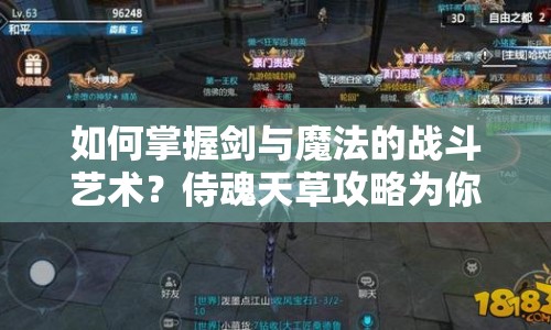 如何掌握劍與魔法的戰(zhàn)斗藝術(shù)？侍魂天草攻略為你揭秘！