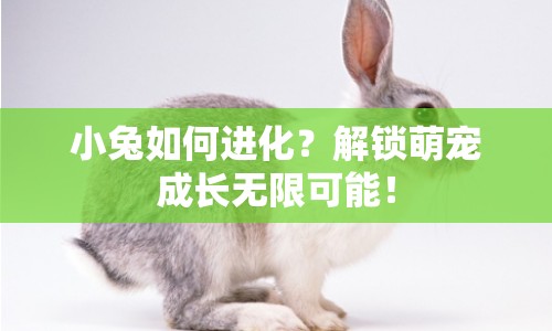 小兔如何進(jìn)化？解鎖萌寵成長(zhǎng)無限可能！