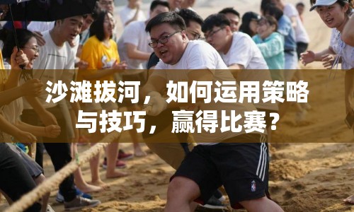 沙灘拔河，如何運(yùn)用策略與技巧，贏得比賽？
