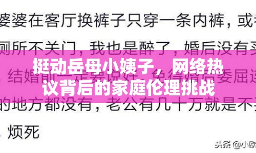 挺動岳母小姨子，網(wǎng)絡熱議背后的家庭倫理挑戰(zhàn)