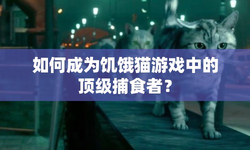如何成為饑餓貓游戲中的頂級捕食者？