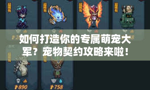 如何打造你的專屬萌寵大軍？寵物契約攻略來(lái)啦！
