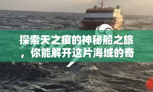 探索天之痕的神秘船之旅，你能解開這片海域的奇幻謎團嗎？