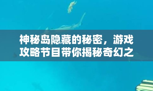 神秘島隱藏的秘密，游戲攻略節(jié)目帶你揭秘奇幻之旅？