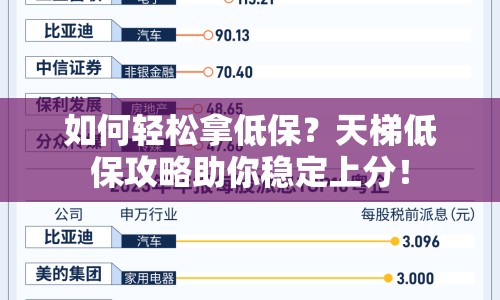 如何輕松拿低保？天梯低保攻略助你穩(wěn)定上分！