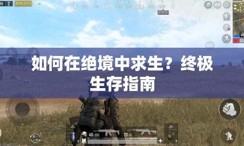如何在絕境中求生？終極生存指南