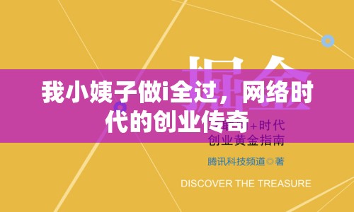 我小姨子做i全過(guò)，網(wǎng)絡(luò)時(shí)代的創(chuàng)業(yè)傳奇