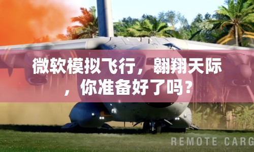 微軟模擬飛行，翱翔天際，你準(zhǔn)備好了嗎？