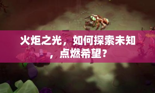 火炬之光，如何探索未知，點燃希望？