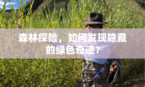 森林探險，如何發(fā)現(xiàn)隱藏的綠色奇跡？