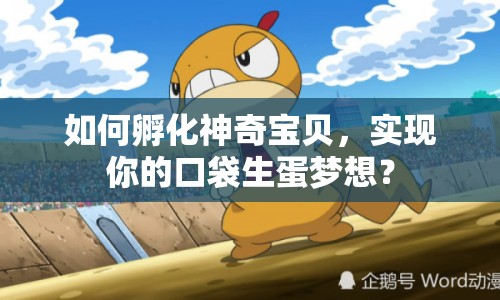如何孵化神奇寶貝，實(shí)現(xiàn)你的口袋生蛋夢(mèng)想？
