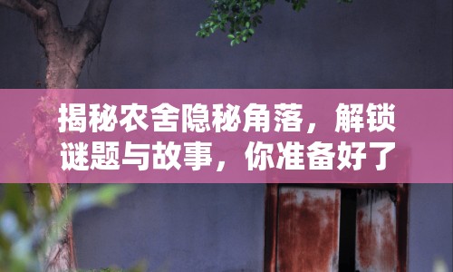 揭秘農(nóng)舍隱秘角落，解鎖謎題與故事，你準(zhǔn)備好了嗎？