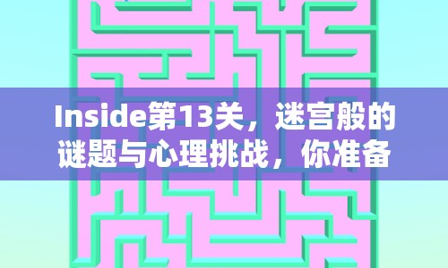 Inside第13關(guān)，迷宮般的謎題與心理挑戰(zhàn)，你準備好了嗎？