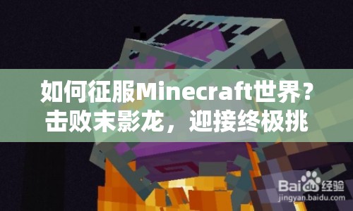 如何征服Minecraft世界？擊敗末影龍，迎接終極挑戰(zhàn)！
