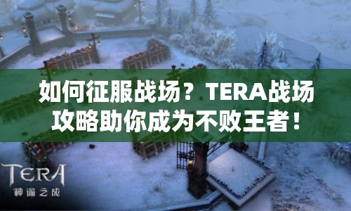 如何征服戰(zhàn)場？TERA戰(zhàn)場攻略助你成為不敗王者！
