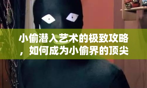 小偷潛入藝術(shù)的極致攻略，如何成為小偷界的頂尖大師？