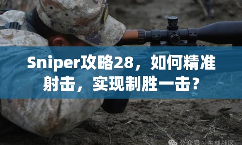 Sniper攻略28，如何精準射擊，實現(xiàn)制勝一擊？