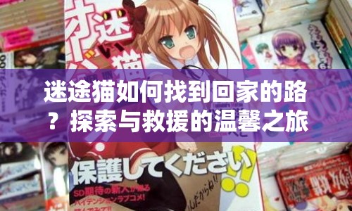 迷途貓如何找到回家的路？探索與救援的溫馨之旅等你來答！
