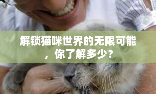 解鎖貓咪世界的無(wú)限可能，你了解多少？