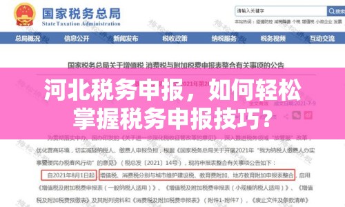 河北稅務(wù)申報(bào)，如何輕松掌握稅務(wù)申報(bào)技巧？