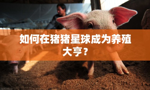 如何在豬豬星球成為養(yǎng)殖大亨？
