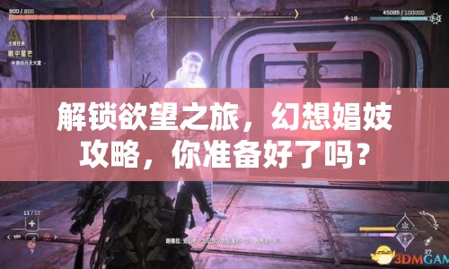 解鎖欲望之旅，幻想娼妓攻略，你準(zhǔn)備好了嗎？