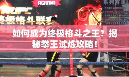 如何成為終極格斗之王？揭秘拳王試煉攻略！