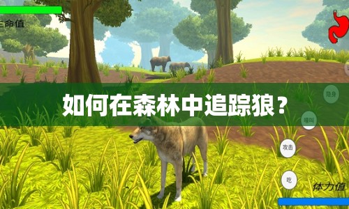如何在森林中追蹤狼？