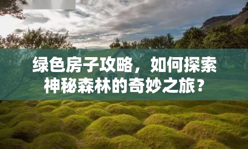 綠色房子攻略，如何探索神秘森林的奇妙之旅？