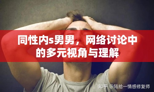 同性內(nèi)s男男，網(wǎng)絡討論中的多元視角與理解