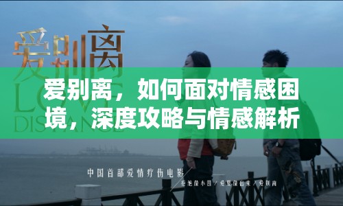 愛別離，如何面對情感困境，深度攻略與情感解析？