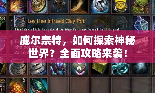 威爾奈特，如何探索神秘世界？全面攻略來襲！