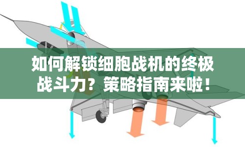 如何解鎖細(xì)胞戰(zhàn)機(jī)的終極戰(zhàn)斗力？策略指南來啦！