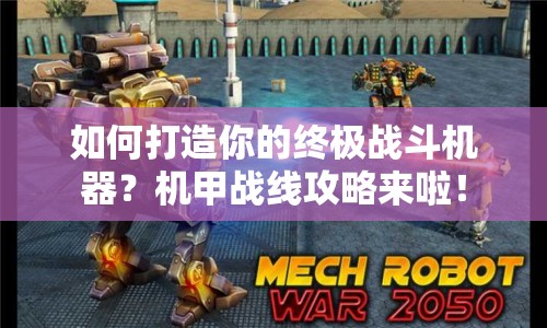 如何打造你的終極戰(zhàn)斗機(jī)器？機(jī)甲戰(zhàn)線攻略來啦！