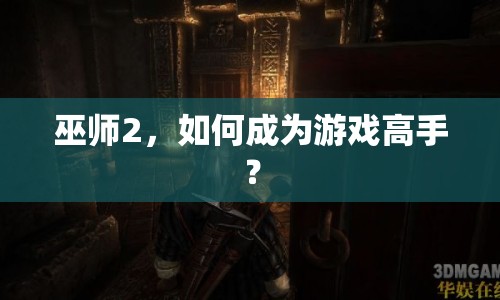 巫師2，如何成為游戲高手？