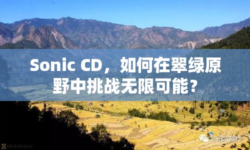 Sonic CD，如何在翠綠原野中挑戰(zhàn)無限可能？