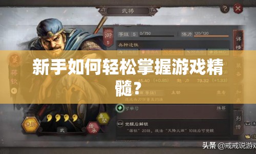 新手如何輕松掌握游戲精髓？