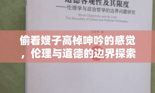 偷看嫂子高棹呻吟的感覺，倫理與道德的邊界探索