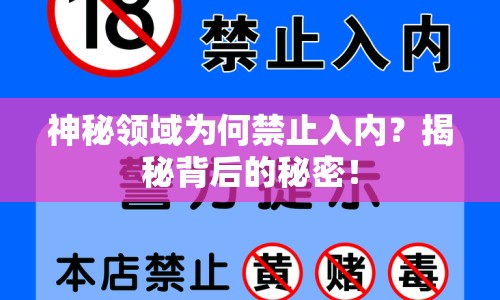 神秘領(lǐng)域?yàn)楹谓谷雰?nèi)？揭秘背后的秘密！