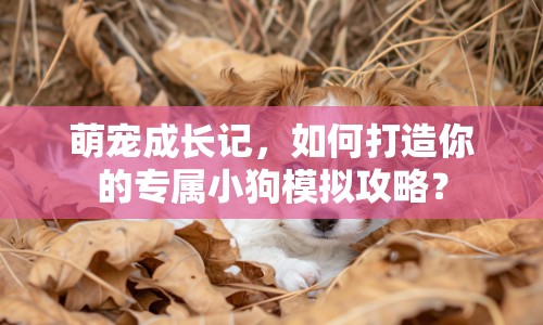 萌寵成長(zhǎng)記，如何打造你的專屬小狗模擬攻略？