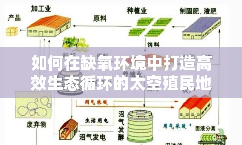 如何在缺氧環(huán)境中打造高效生態(tài)循環(huán)的太空殖民地？