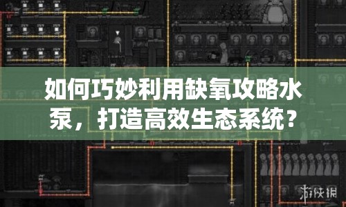 如何巧妙利用缺氧攻略水泵，打造高效生態(tài)系統(tǒng)？