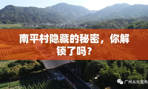 南平村隱藏的秘密，你解鎖了嗎？