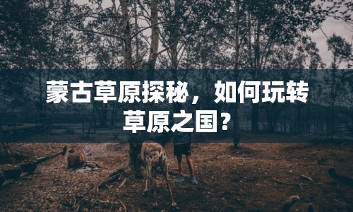 蒙古草原探秘，如何玩轉(zhuǎn)草原之國(guó)？